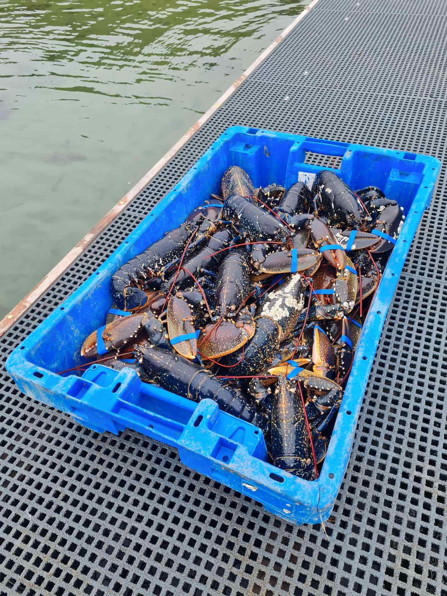 IMG 20250929 065917 191